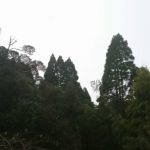 千葉県での山林購入を目指すための道案内。