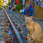 スラム跡地に天国を！カジノ建設で消えるスラム街「クロントイ」