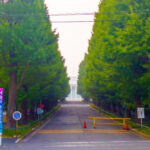 塾生が多い学生街「ひようら」で満蘭に載る怪しいエステを探せ! 塾生が多い学生街「ひようら」で満蘭に載る怪しいエステを探せ!