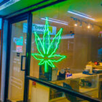 【バンコク】合規制される大麻、合法化される大人のおもちゃ